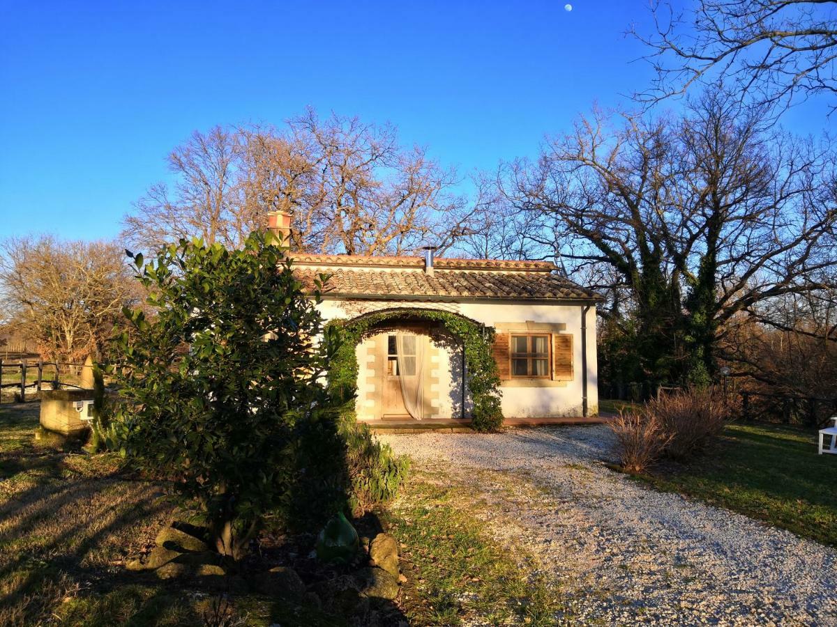 Вілла Maremma Country Chic Le Ginestre Сована Екстер'єр фото