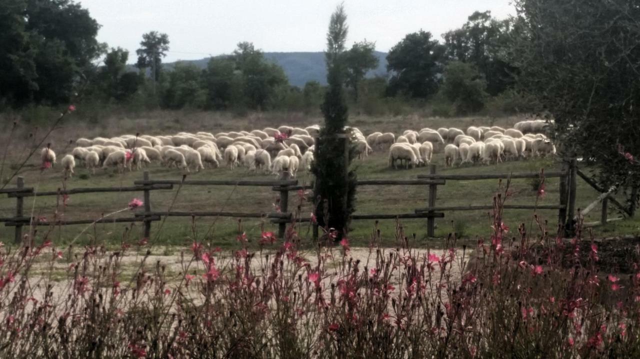 Вілла Maremma Country Chic Le Ginestre Сована Екстер'єр фото