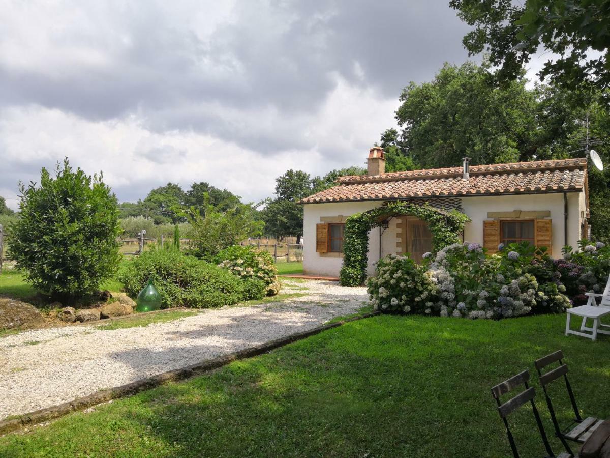 Вілла Maremma Country Chic Le Ginestre Сована Екстер'єр фото